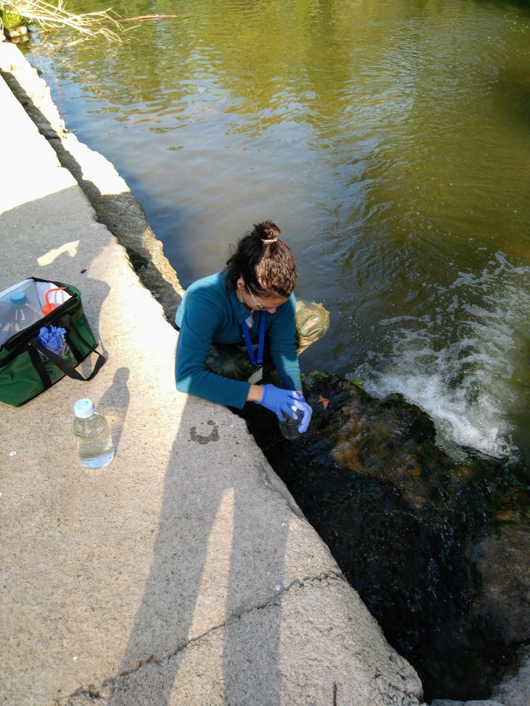 Hiring & Learning Green Skills in 2026: A New Angle & Kind&nbsp;Provocations